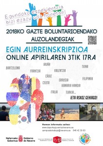 cartel campos de voluntariado 2018 EUSKERA